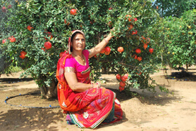 story image
