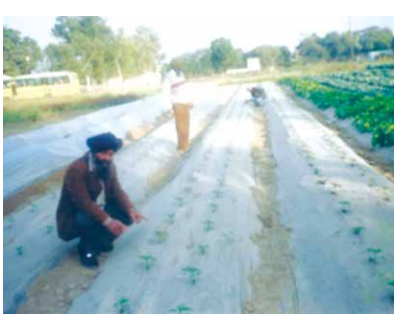 story image