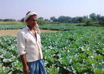 story image