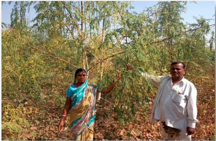 story image