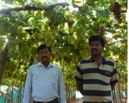 story image