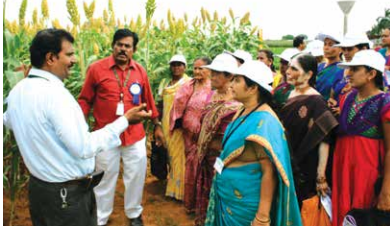 story image