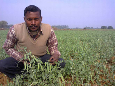 story image