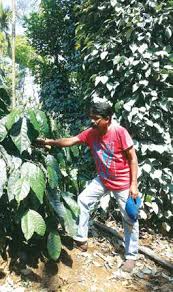 story image
